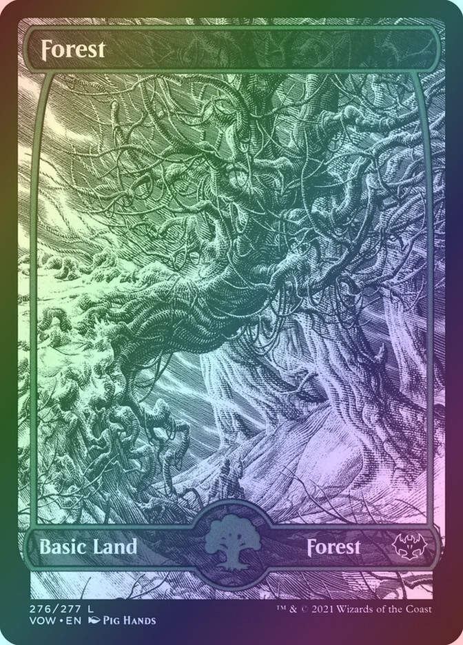 Forest (VOW) (276) / Showcase / Foil