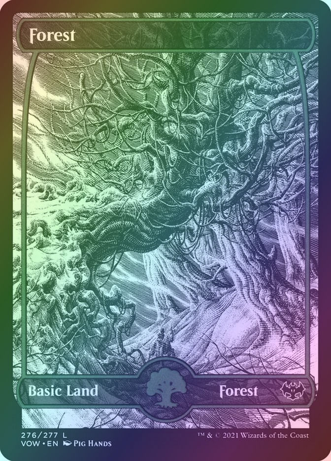 Forest (VOW) (276) / Showcase / Foil