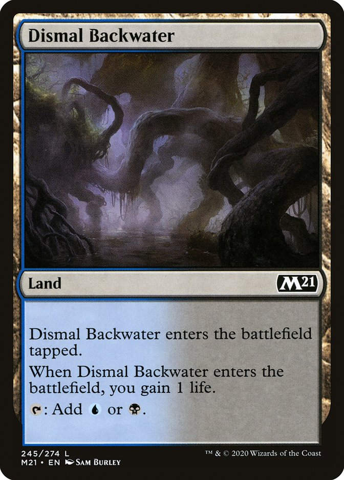 Dismal Backwater (M21) (245)