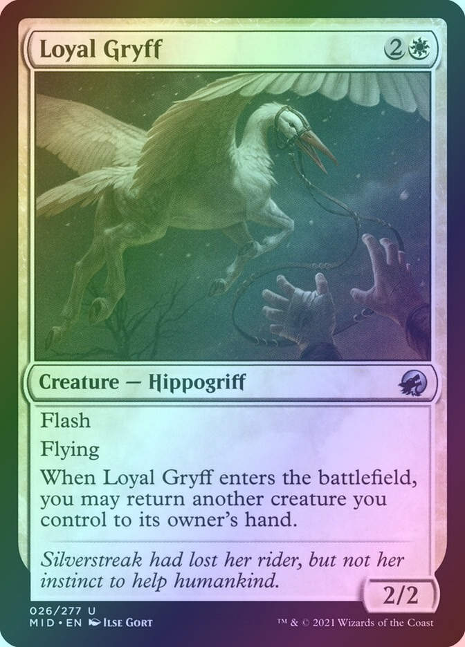 Loyal Gryff (MID) (26) / Foil
