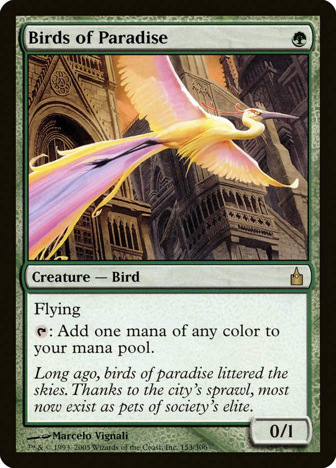 Birds of Paradise (rav)