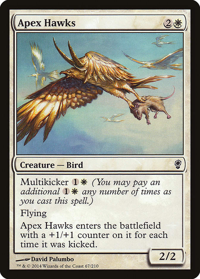 Apex Hawks (cns)
