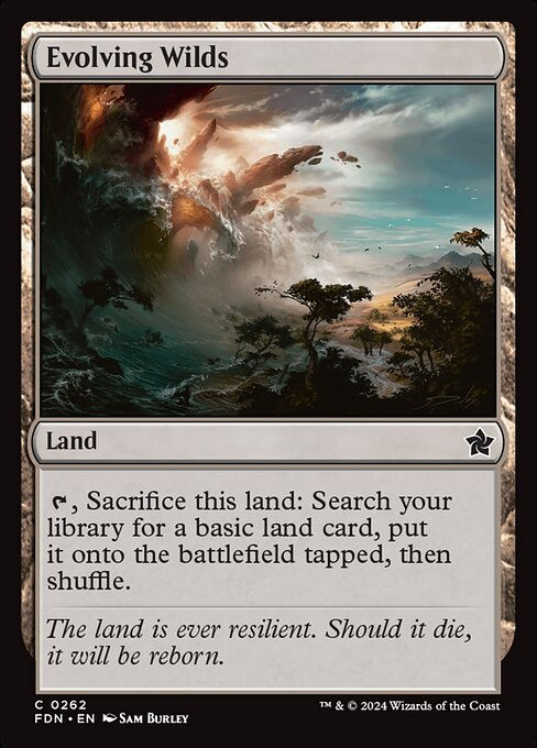 Evolving Wilds (FDN) (262)