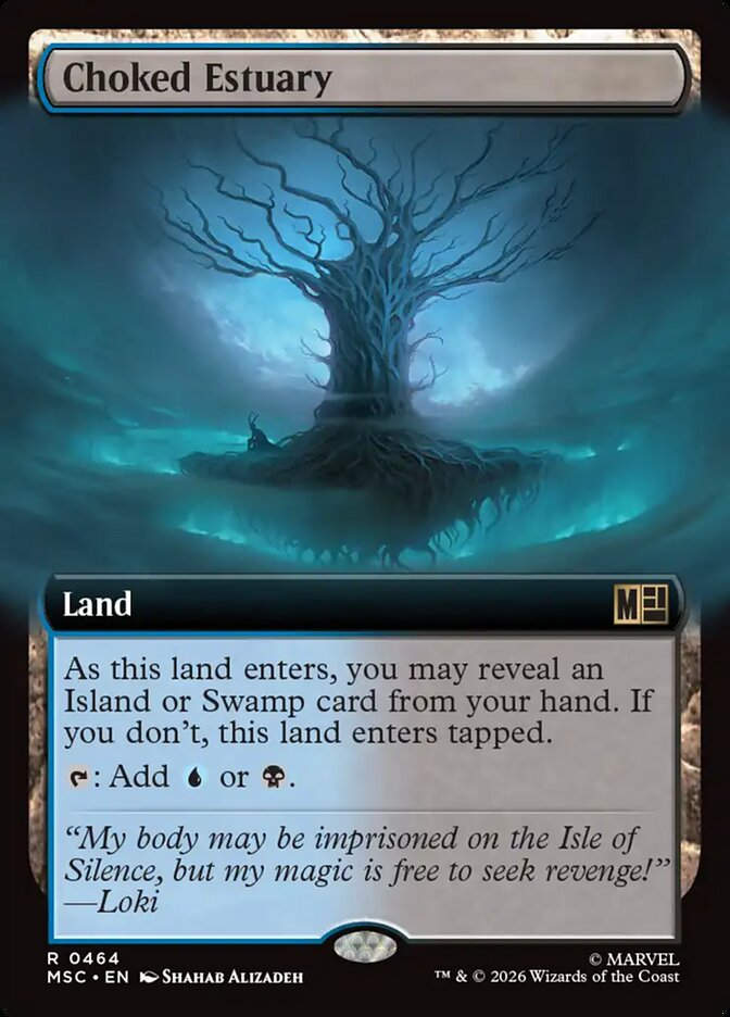 Choked Estuary (MSC) (464) / Extended Art