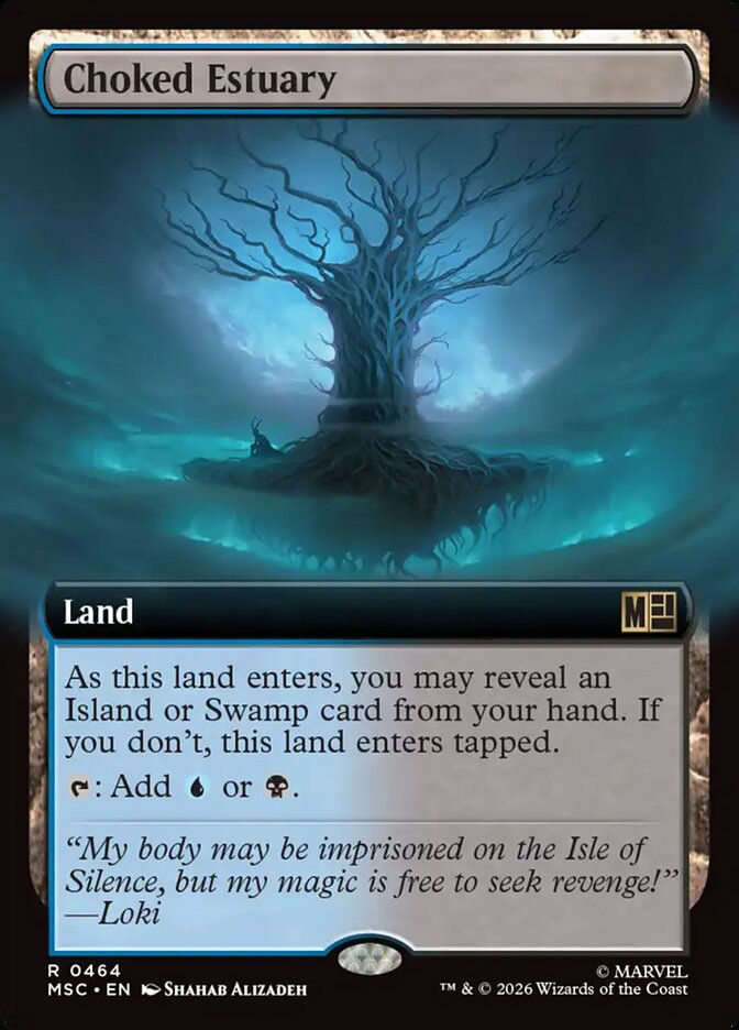 Choked Estuary (MSC) (464) / Extended Art