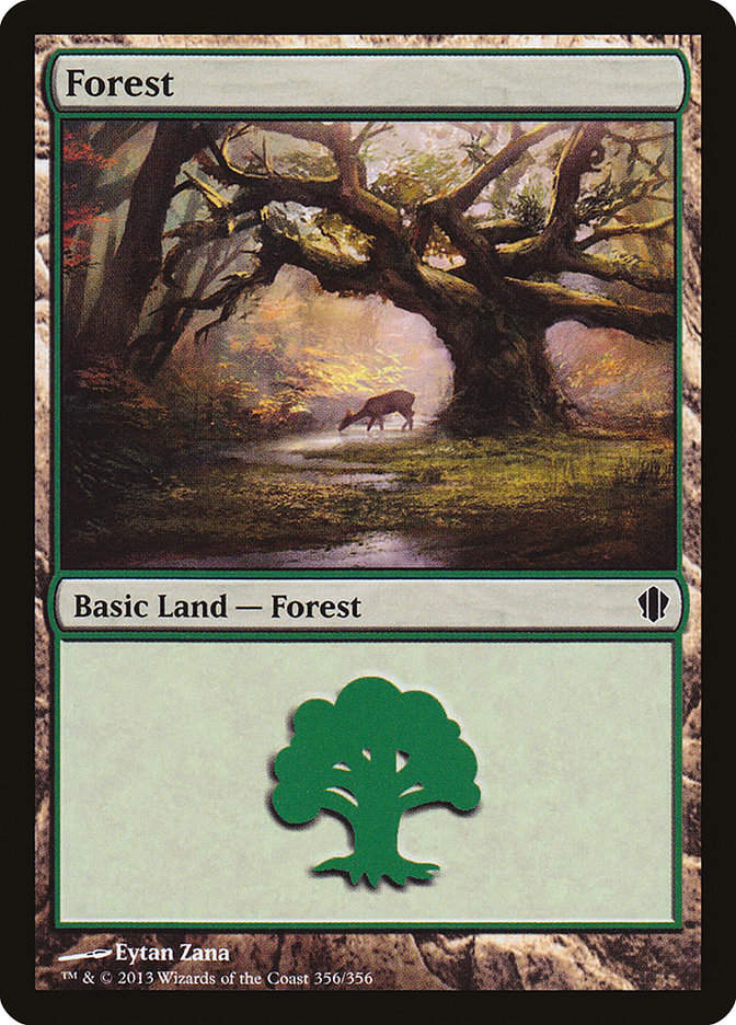 Forest (c13)