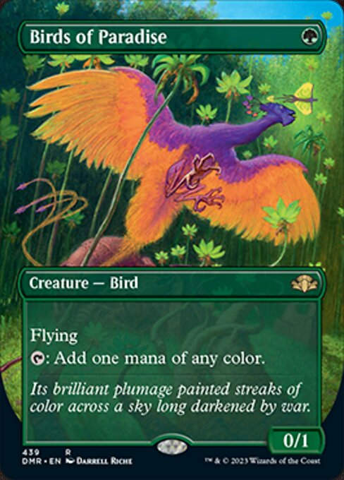 Birds of Paradise (DMR) / Borderless