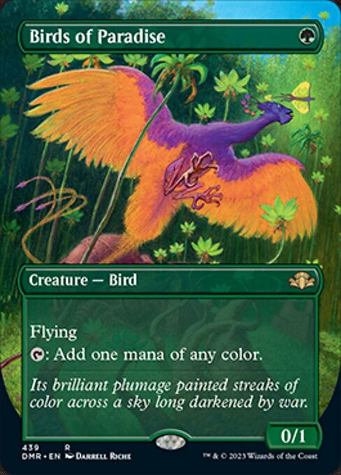 Birds of Paradise (DMR) / Borderless