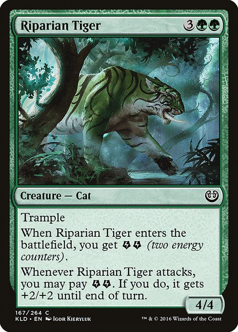Riparian Tiger (KLD)