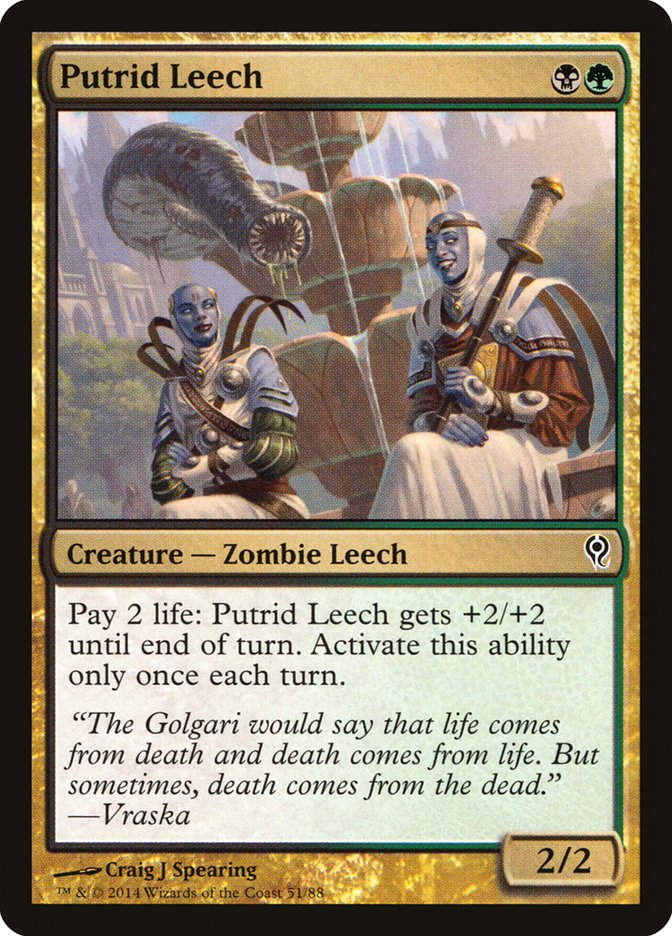 Putrid Leech (ddm)