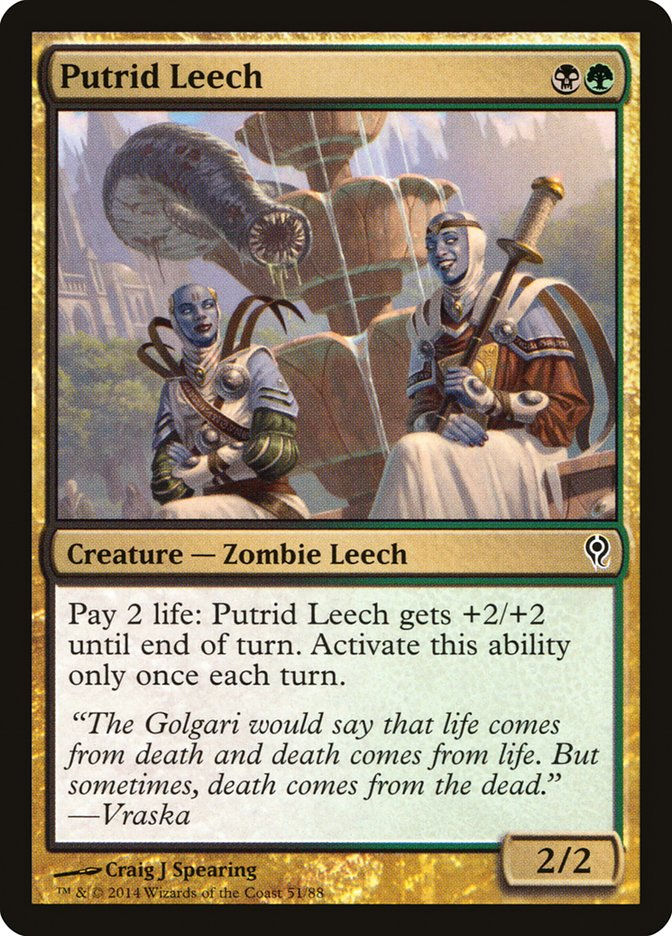 Putrid Leech (ddm)