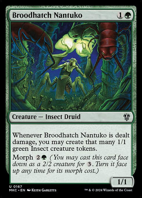 Broodhatch Nantuko (mkc) (167)