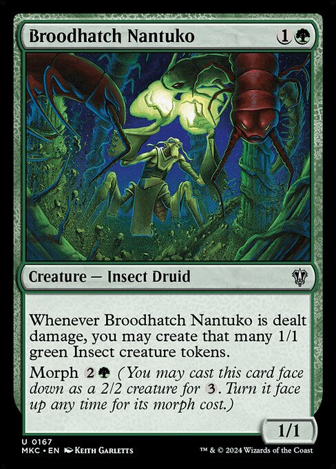 Broodhatch Nantuko (mkc) (167)