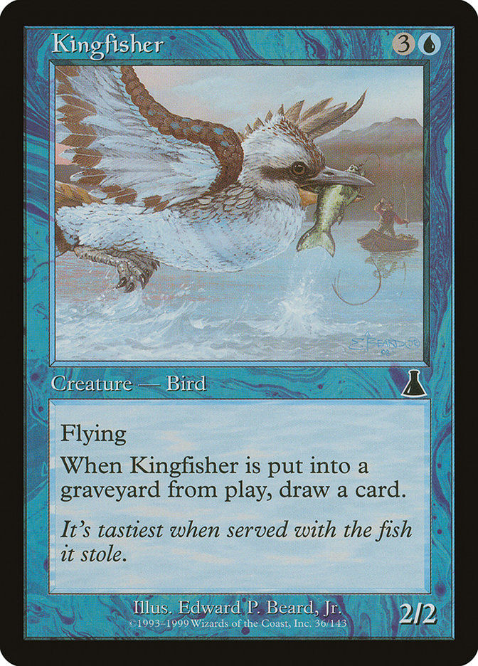 Kingfisher (UDS) (36)