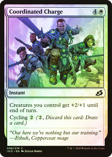 Coordinated Charge (IKO) (6) / Foil