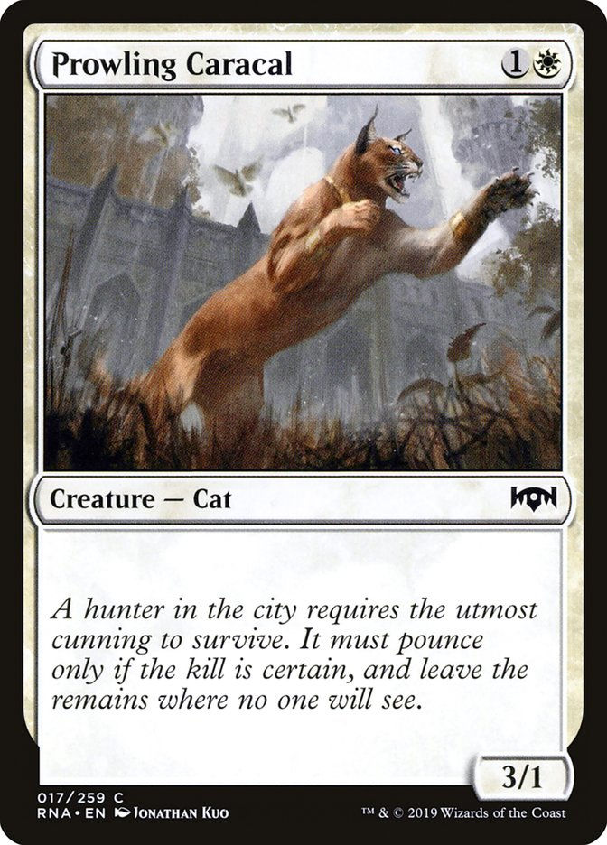 Prowling Caracal (RNA) (17)