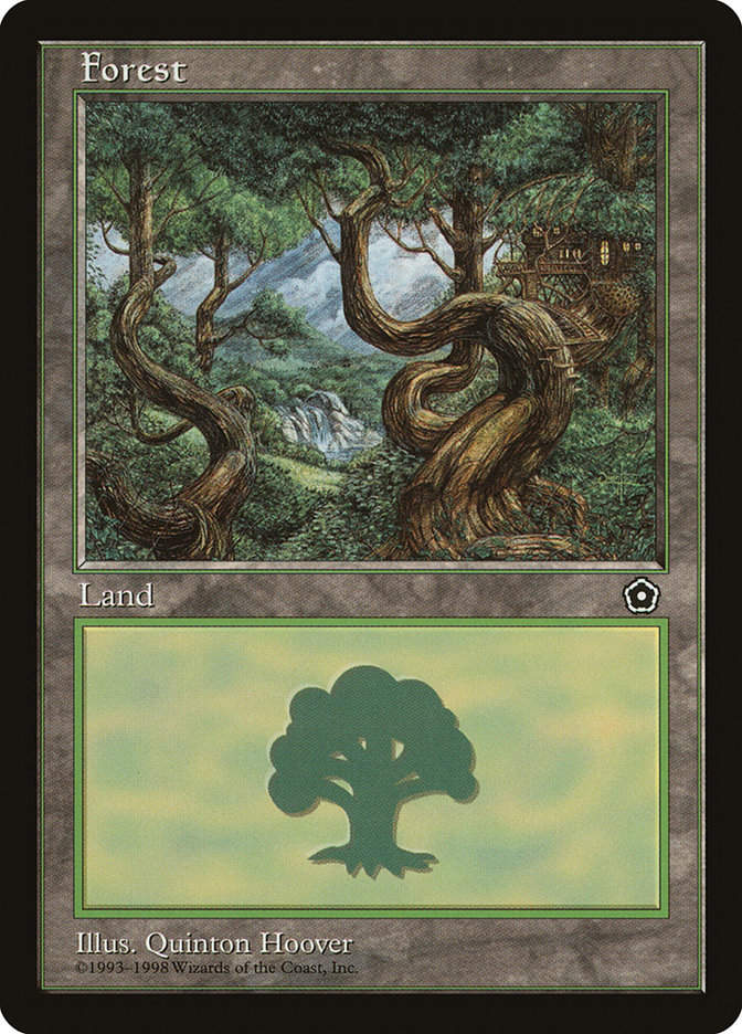 Forest (p02)