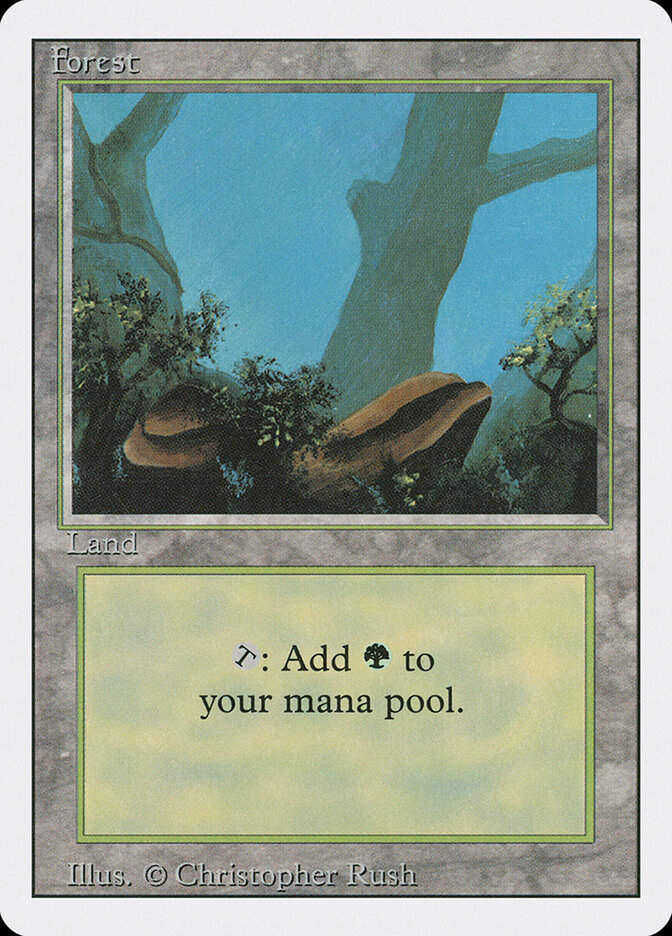 Forest (3ED) (304)