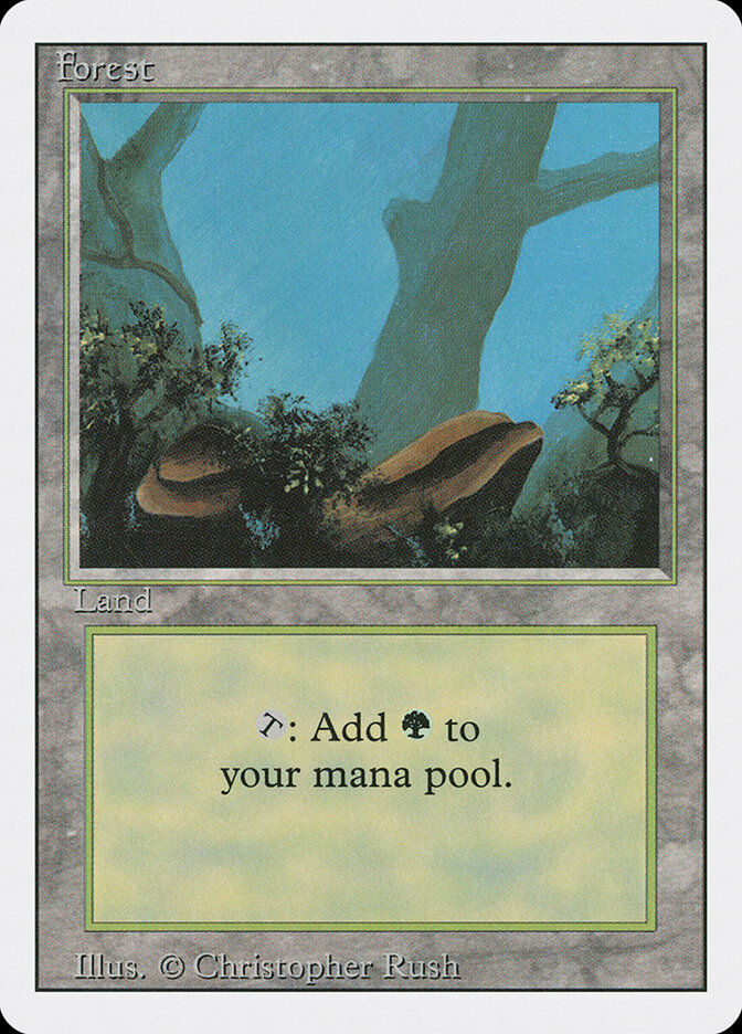 Forest (3ED) (304)