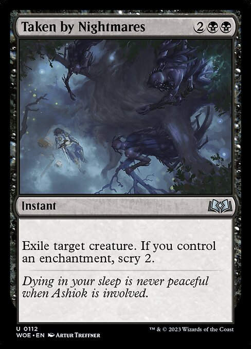 Taken by Nightmares (woe)