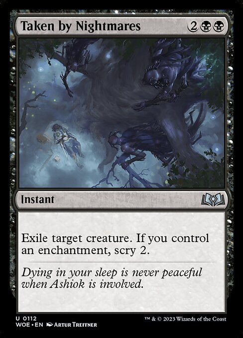 Taken by Nightmares (woe)