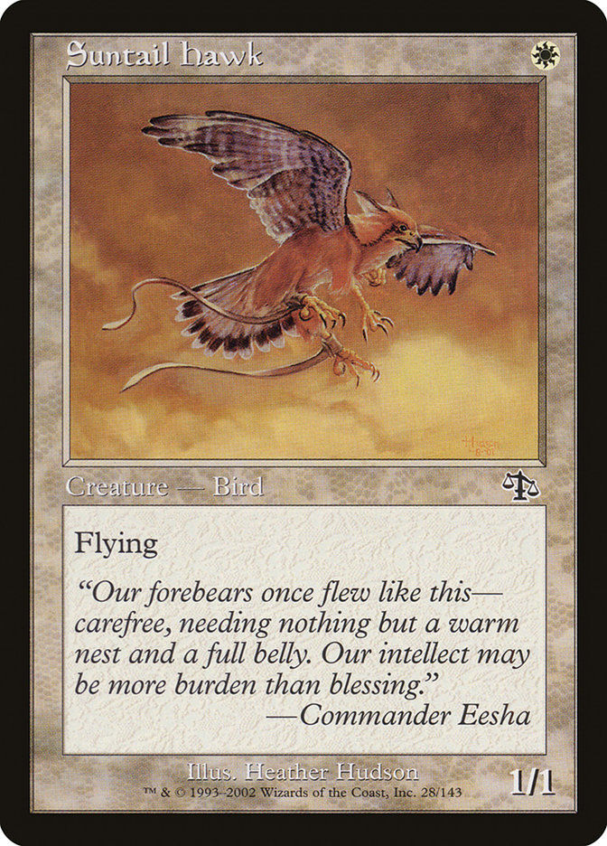 Suntail Hawk (jud)