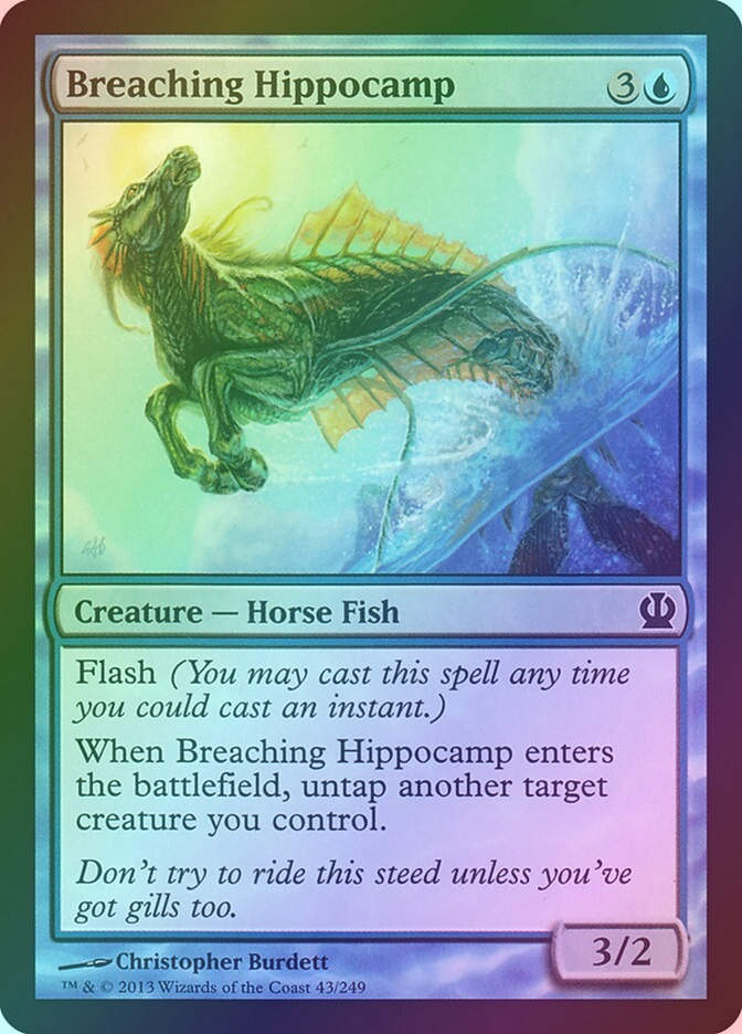 Breaching Hippocamp (THS) (43) / Foil