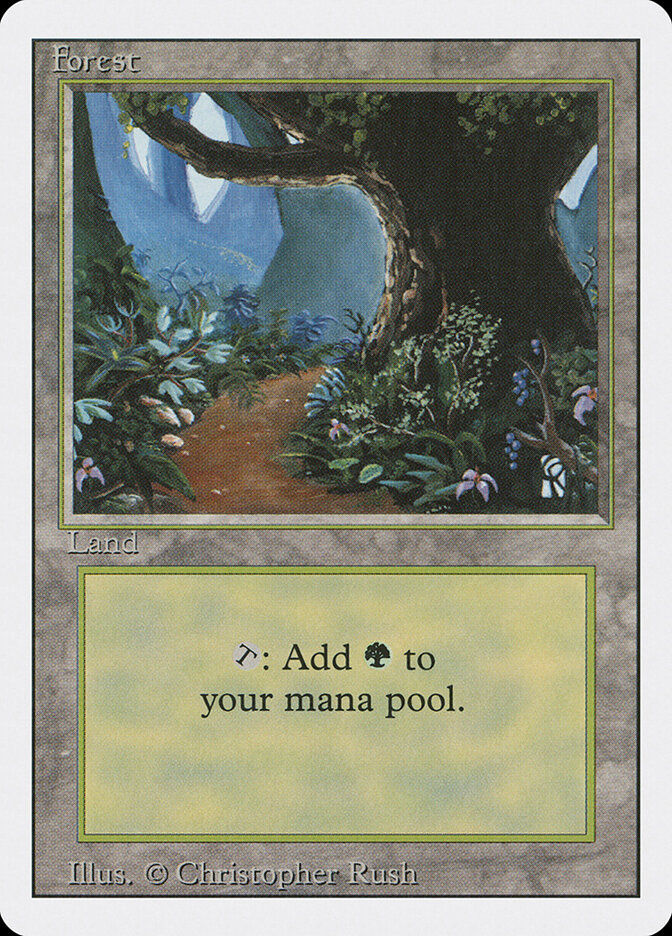 Forest (3ED) (305)