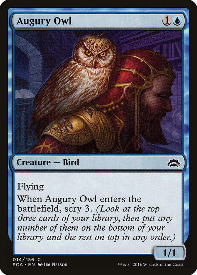 Augury Owl (pca)