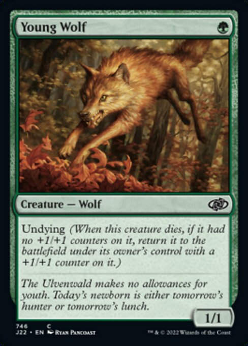 Young Wolf (J22))