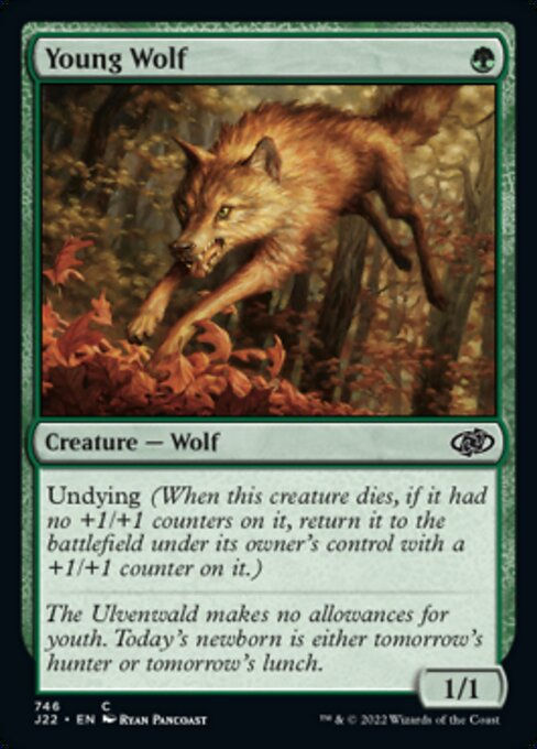 Young Wolf (J22))