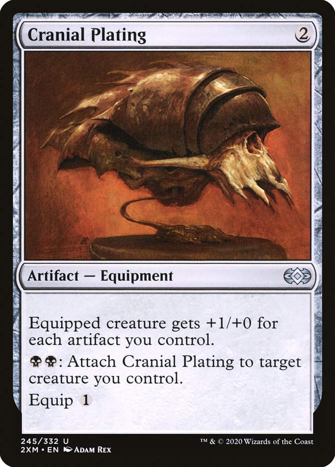 Cranial Plating (2XM) (245)