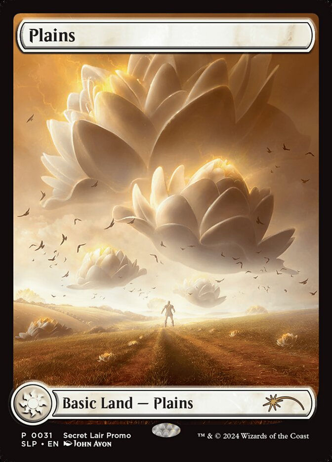 Plains (SLP) (31)