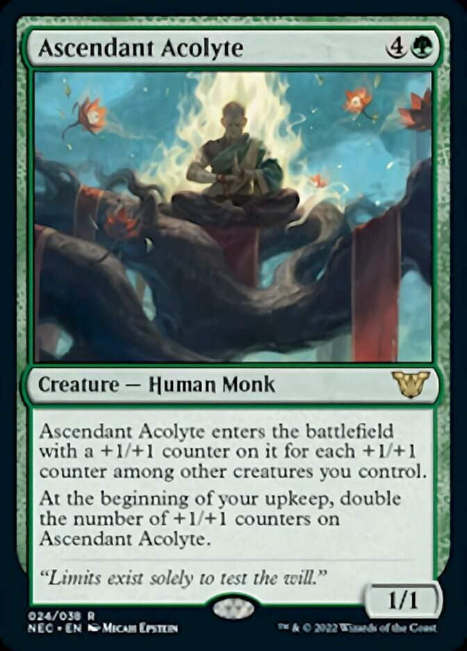 Ascendant Acolyte (NEC)