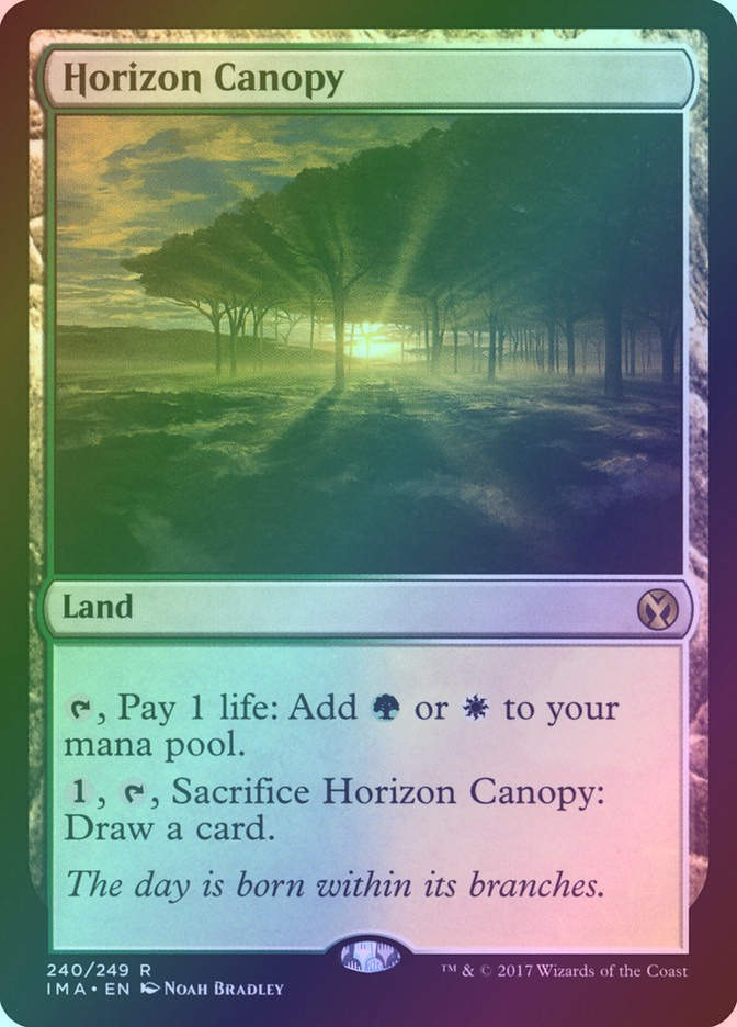 Horizon Canopy (IMA) (240) / Foil