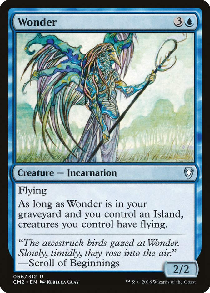 Wonder (cm2)