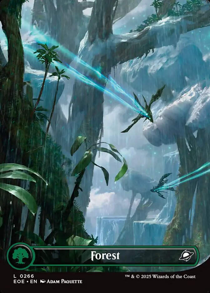 Forest (EOE) (266) / Borderless