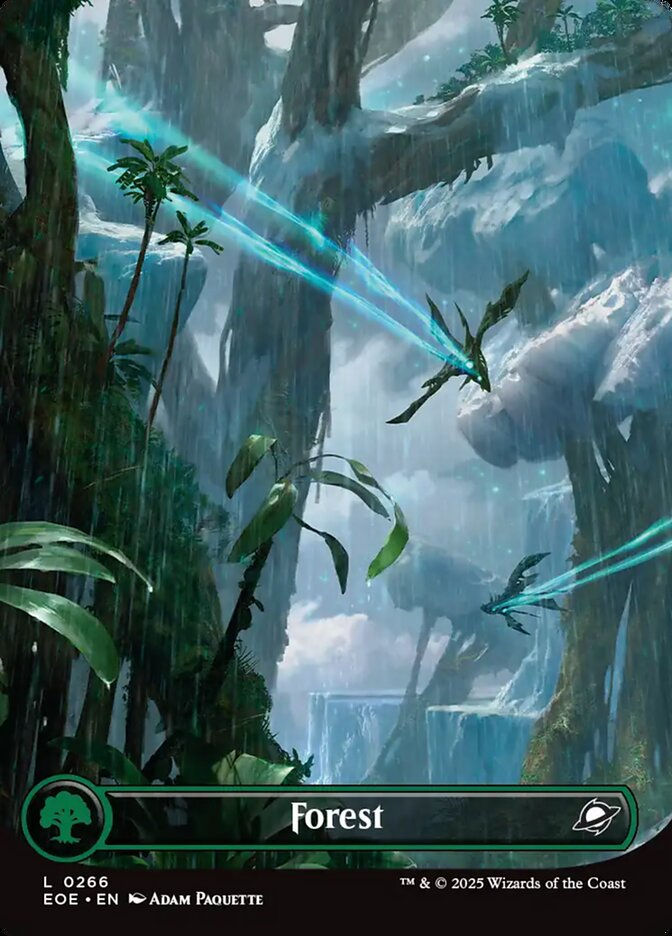 Forest (EOE) (266) / Borderless