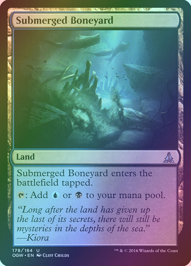 Submerged Boneyard (OGW) (178) / Foil