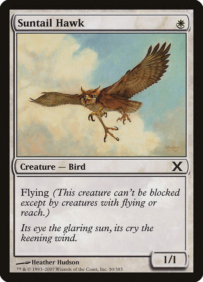 Suntail Hawk (10E) (50)