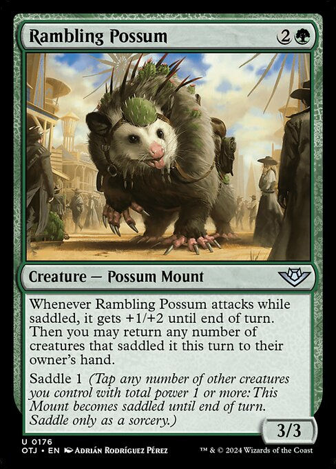 Rambling Possum (otj) (176)
