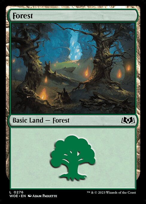 Forest (woe) (276)