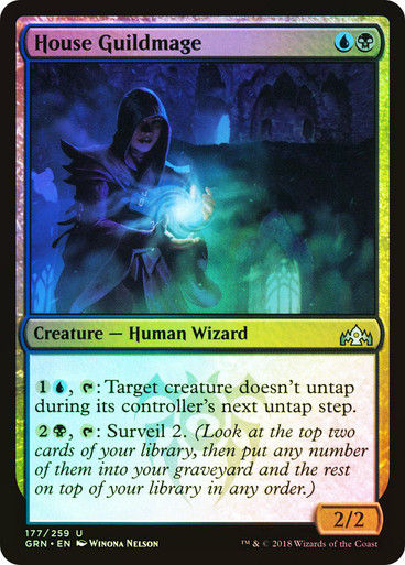 House Guildmage (GRN) (177) / Foil