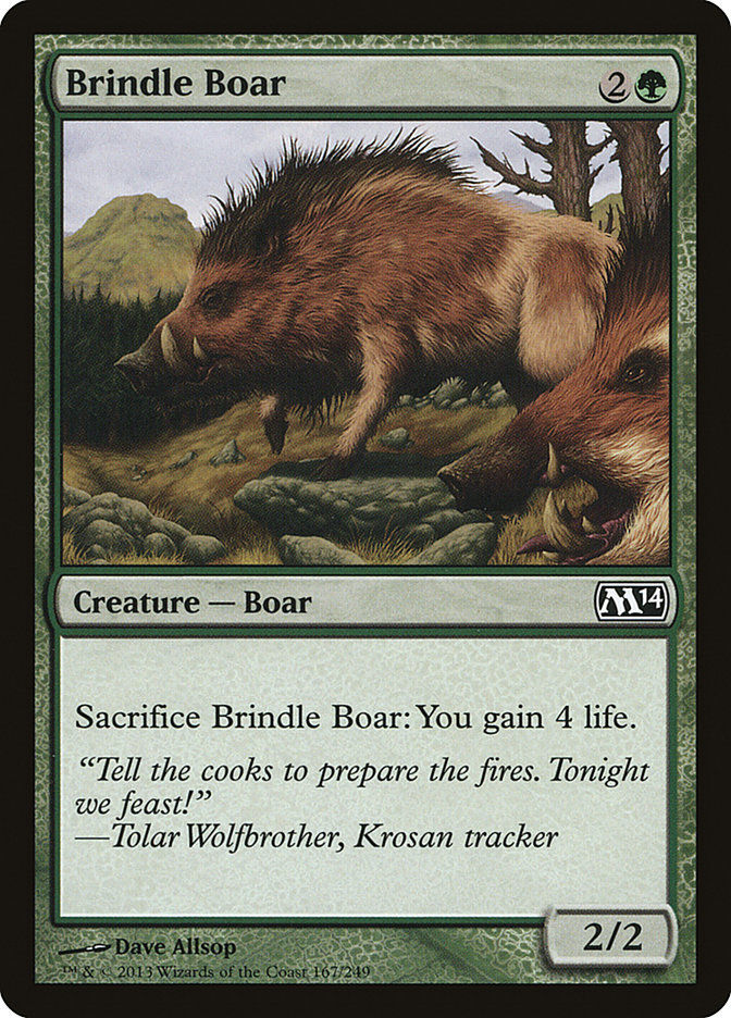 Brindle Boar (M14) (167)