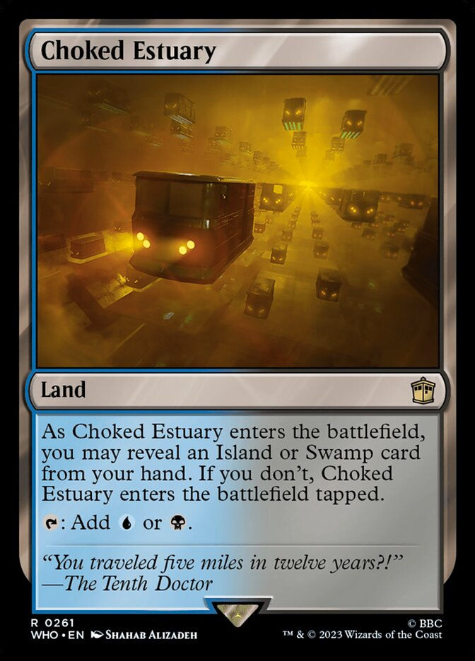 Choked Estuary (WHO) (261)