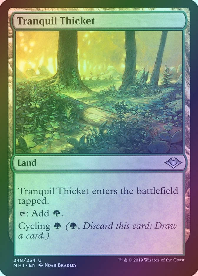 Tranquil Thicket (MH1) (248) / Foil