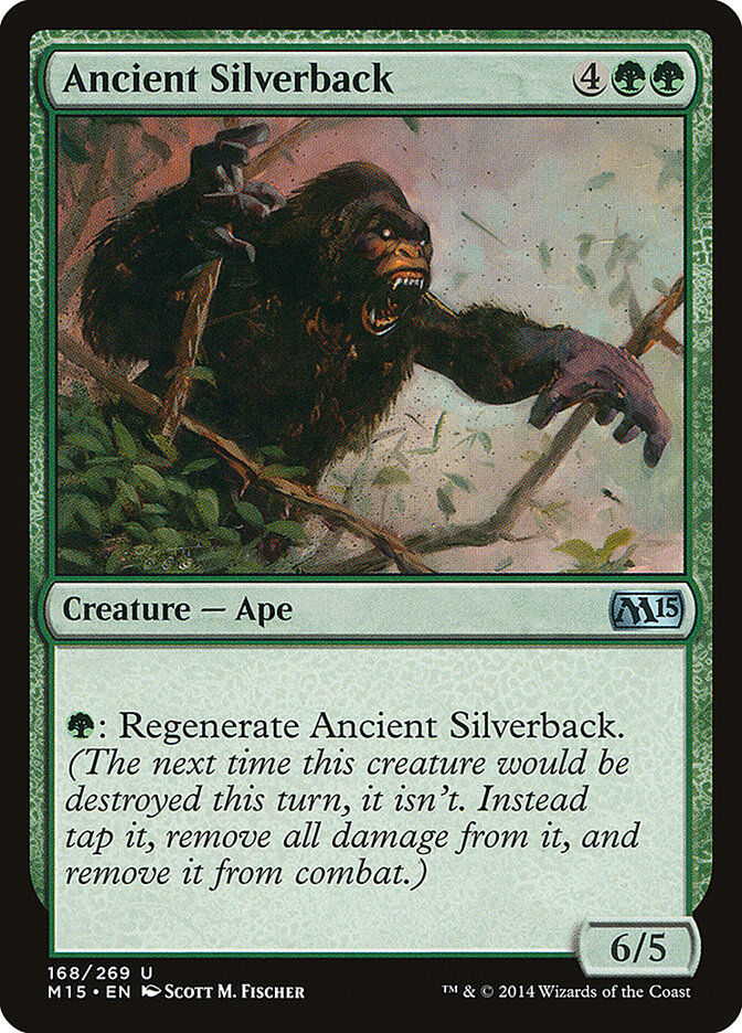 Ancient Silverback (M15) (168)