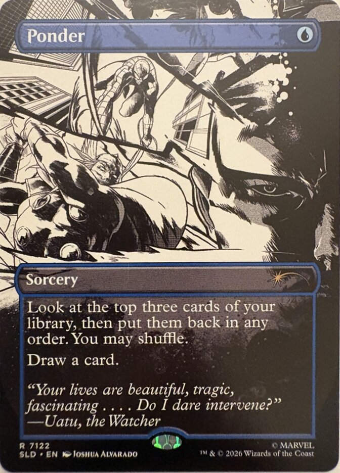 Ponder (SLD) (7122) / Borderless