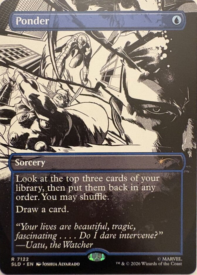 Ponder (SLD) (7122) / Borderless