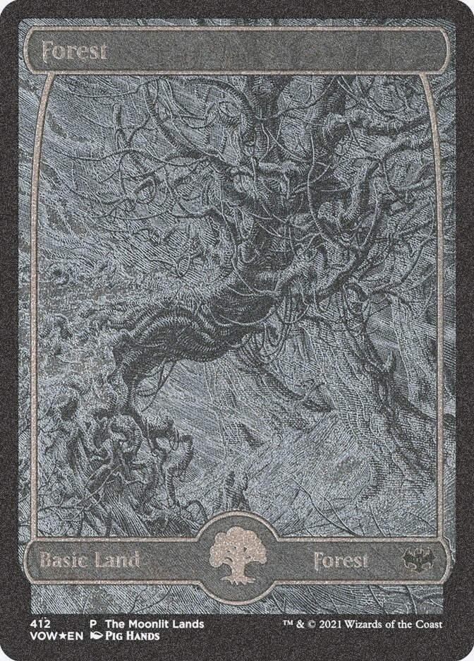 Forest (VOW) (412) / Foil Etched